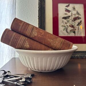 Antique Goodwin Bros Pearl White Ironstone bowl